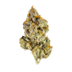 https://oldtownweeddelivery.com/wp-content/uploads/2025/01/Lemon-Cherry-Gelato-1-300x300.png