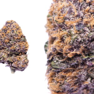 https://oldtownweeddelivery.com/wp-content/uploads/2025/01/PCC_GRANDDADDYPURPLE2_WM_5_23_18-1-300x300.jpg