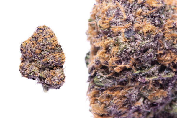 Granddaddy Purple